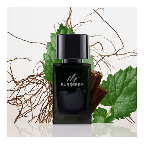 mr burberry bewertung